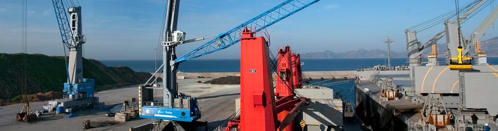 Galería de imágenes